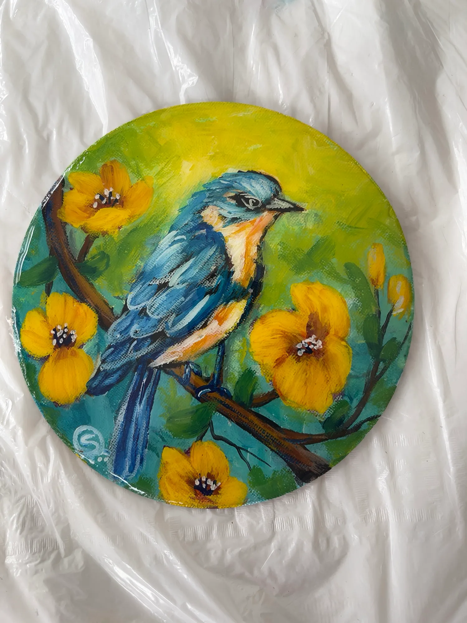 eastern bluebird_circle